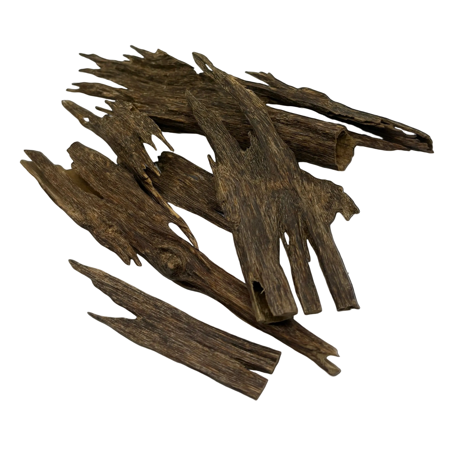 عود مجالس