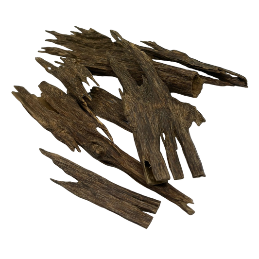عود مجالس