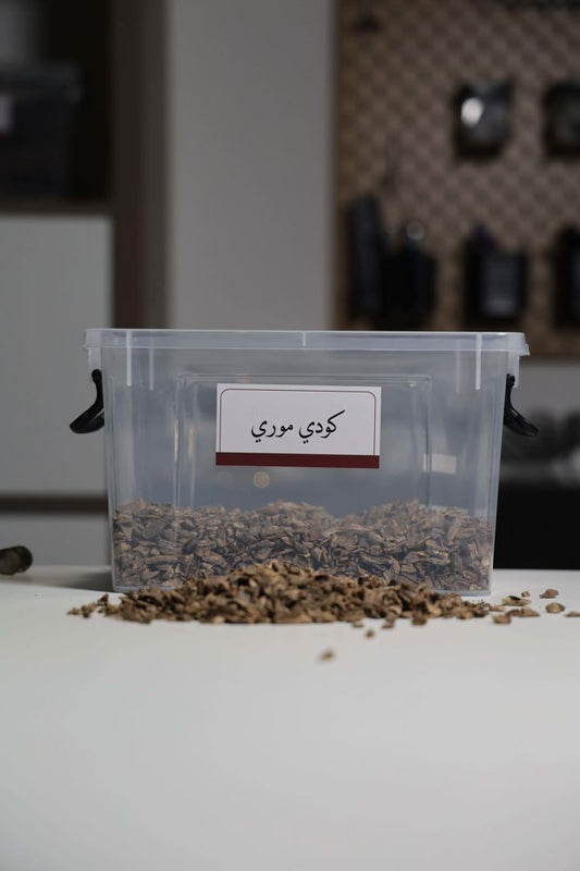 كودي موري